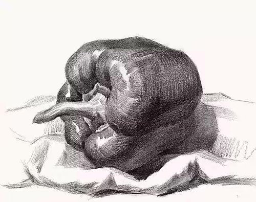 铅笔纯手绘素描蔬菜 八开手绘稿现货包邮13