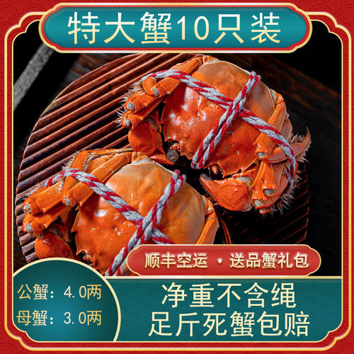 兴化特大闸蟹鲜活净重发顺丰空运
