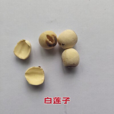 特级白莲子去芯磨皮白莲江西特产农家自产无芯白莲子