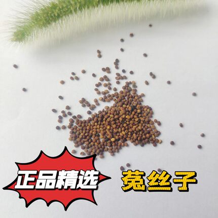 中药材菟丝子正品新货吐丝子茶野生兔丝子500克男性泡酒泡茶