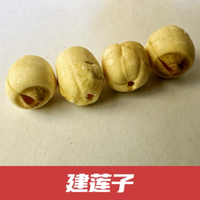 建莲子批发正宗福建去芯建莲子纯手工无硫磺精选建莲煮粥