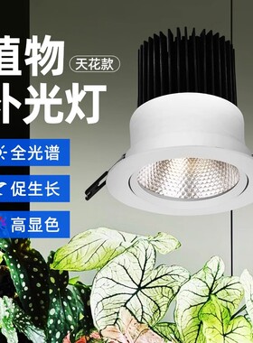 照绿植墙天花植物射灯植物补光灯天花植物射灯太阳全光谱模拟