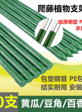 园艺葡萄架包塑钢管爬藤架豆角黄瓜番茄植物藤蔓支撑杆庭院支架