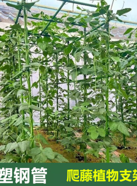 长方形爬藤植物支架包塑钢管户外庭院葡萄黄瓜豆角月季花支撑架杆