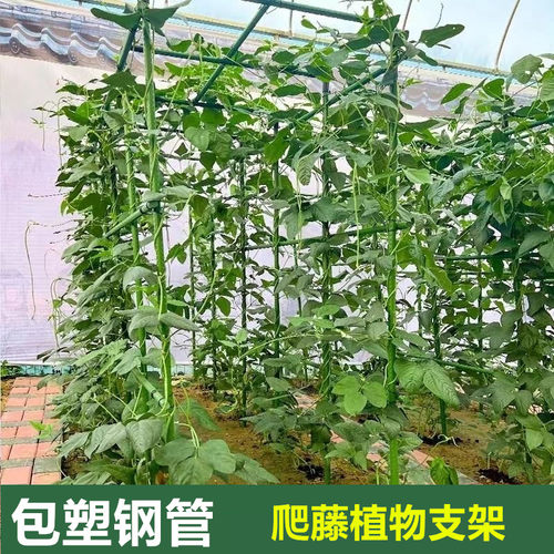 长方形爬藤植物支架包塑钢管户外庭院葡萄黄瓜豆角月季花支撑架杆