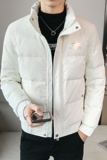 绿店主风保暖亮面加厚压花休闲羽绒服夹克外套Y8017-P158控208，男装羽绒服，星座308A