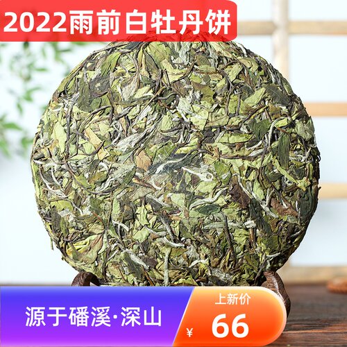 白茶2022年谷雨前磻溪高山鼎星堂