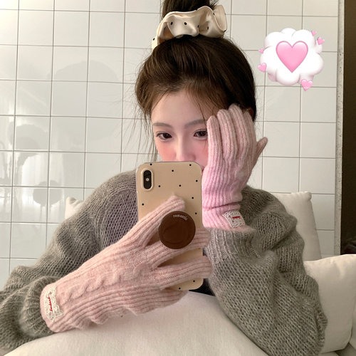 秋冬可触屏加厚保暖手套女