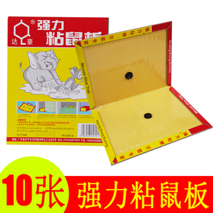 驱捕鼠神器 达豪老鼠贴板强力粘鼠板抓粘大老鼠粘鼠胶家用正品