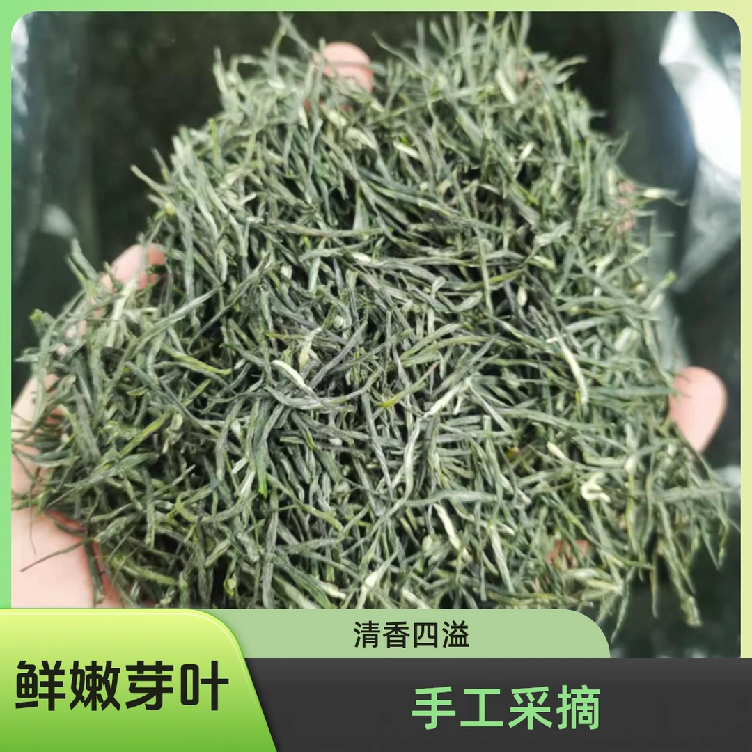 2626新茶 英山云雾茶 高山绿茶 新茶 英山云雾茶 雨花云雾茶