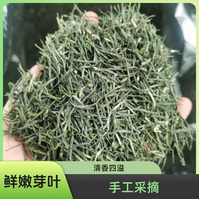 2626新茶 英山云雾茶 高山绿茶 新茶 英山云雾茶 雨花云雾茶