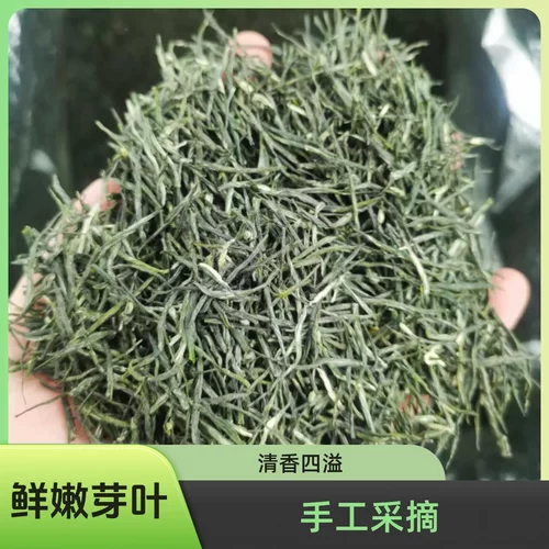2626新茶 英山云雾茶 高山绿茶 新茶 英山云雾茶 雨花云雾茶