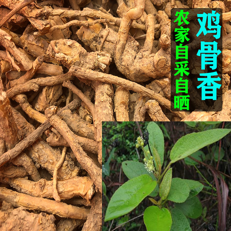 新晒透地龙 过山香水沉香土沉香黄牛香鸡脚香中药材鸡骨香可打粉