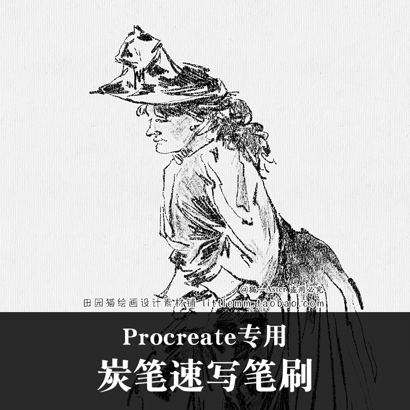 procreate炭笔速写素描线稿笔刷pad手绘铅笔插画素材猫一新品