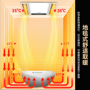 雷仕智风暖浴霸灯取暖集成吊顶排气扇照明一体卫生间浴室暖风机