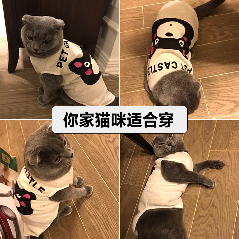 防掉毛英短猫薄款猫咪衣服