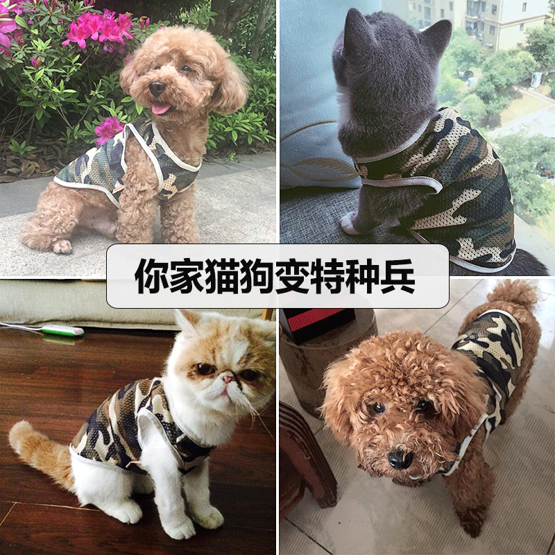 狗狗吉娃娃幼犬背心透气薄款夏季