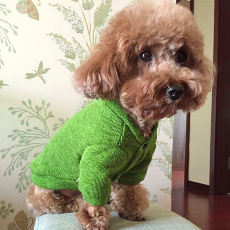狗宠物小狗小型犬小体灰泰迪春秋小奶狗衣服春季狗狗春装毛衣春天