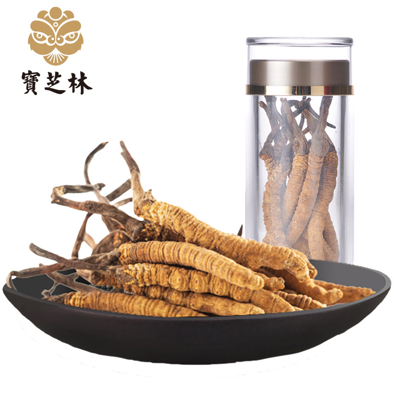 宝芝林冬虫夏草西藏那曲直供野生虫草5-6根/克