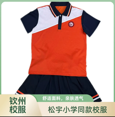 钦州松宇小学同款校服小学生夏季运动短袖短裤男女同款套装舒适