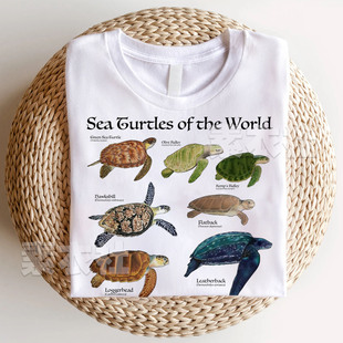 海龟大全T恤周边生物学sea turtles卡通文化衫海岛游海洋动物短袖