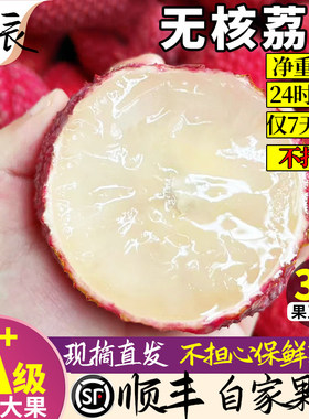 【自家果园果期7天】无核荔枝新鲜现摘现发当季整箱包邮孕妇水果