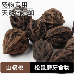 松鼠粮食磨牙山核桃仁飞鼠的爱吃的零食食物磨牙坚果训练手喂生料