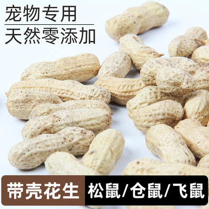 生的花生花枝鼠松鼠飞鼠仓鼠金丝熊的吃的生坚果食物粮食主食零食