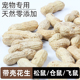 生坚果食物粮食主食零食 吃 生 花生花枝鼠松鼠飞鼠仓鼠金丝熊