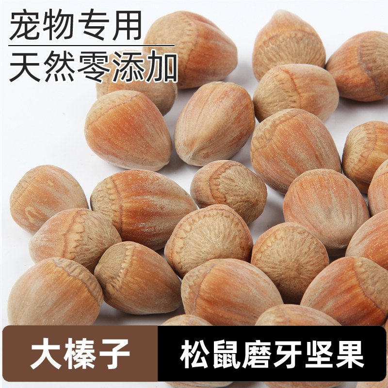 松鼠粮食精选生大榛子磨牙坚果零鼠粮