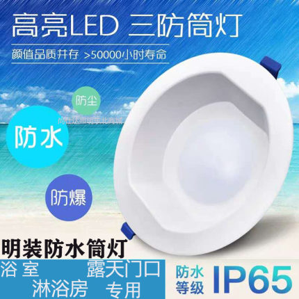 LED筒灯射灯浴池防水天花灯桶灯4寸12W6寸洞灯7.5公分8孔灯6W明装