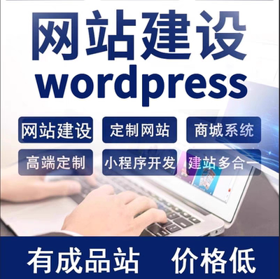 用wordpress做网站建设一条龙定制开发设计制作源码开WP建站