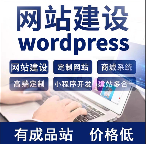 用wordpress做网站建设一条龙定制开发设计制作源码开WP建站