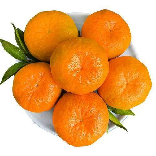 湖北蜜桔新鲜蜜桔荆州桔子柑橘水果非丑橘3斤5斤9斤香甜