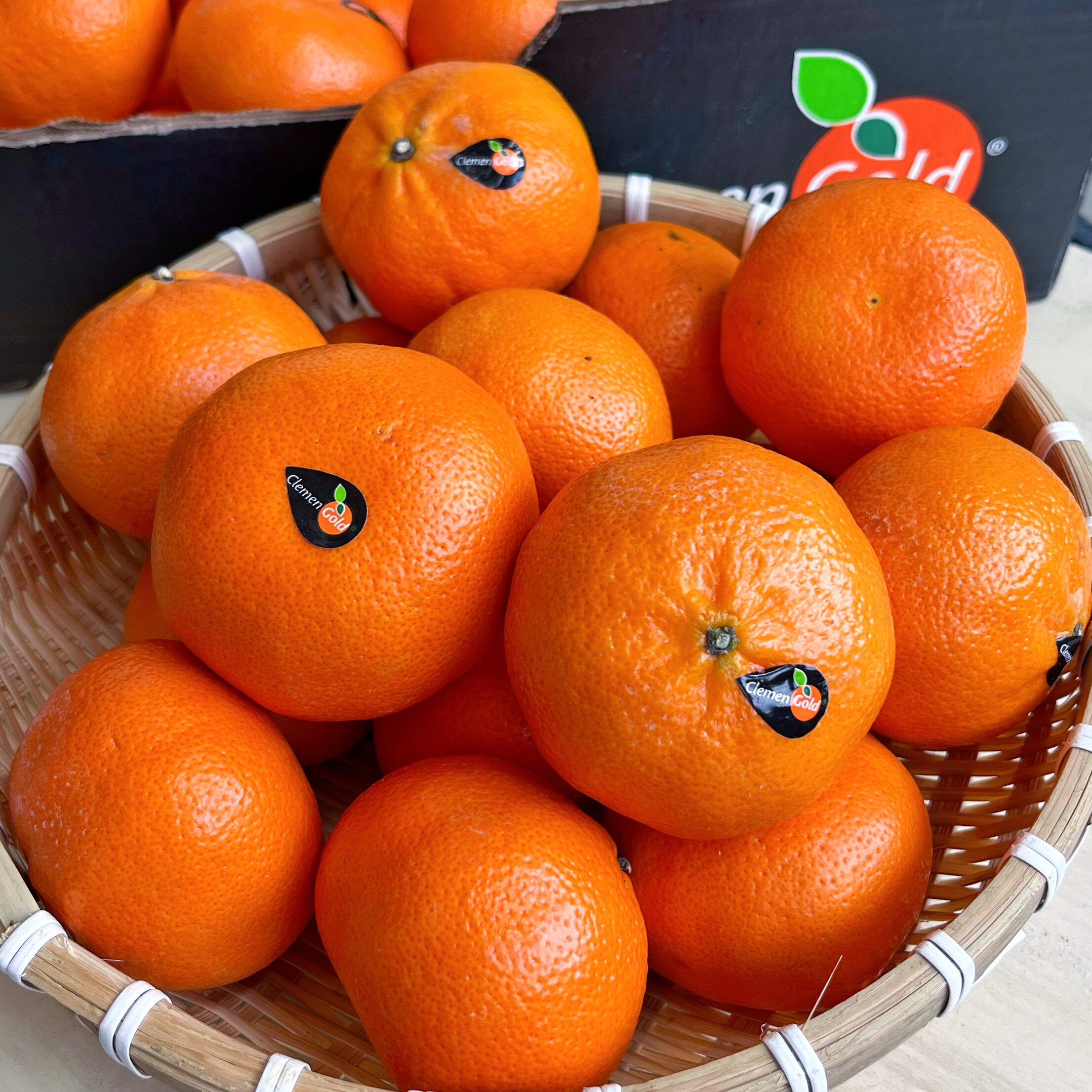 clemen gold 南非克莱蒙柑橘3斤 新鲜进口南非柑橘软皮桔子