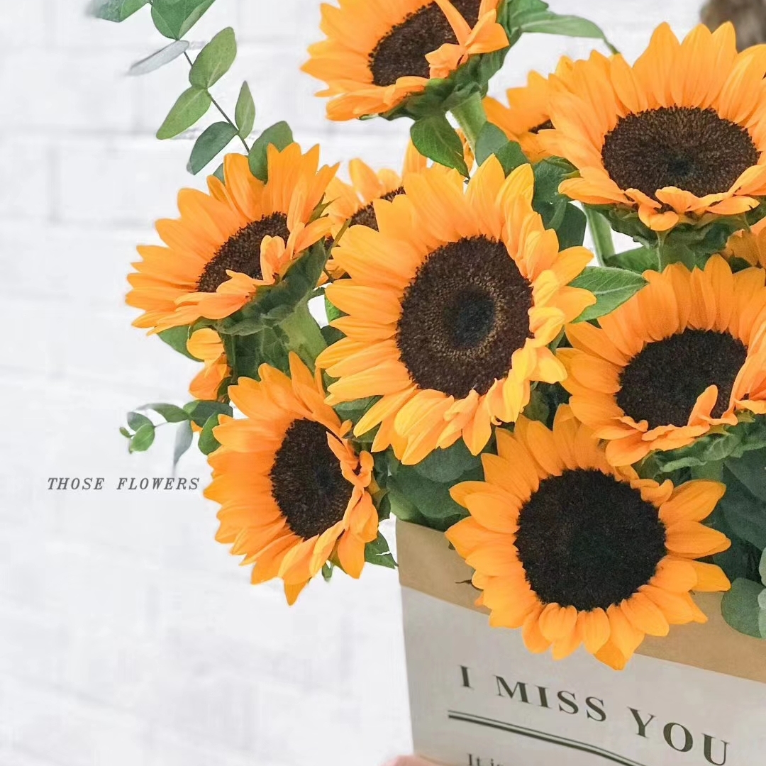 云南昆明向日葵鲜花送货上门