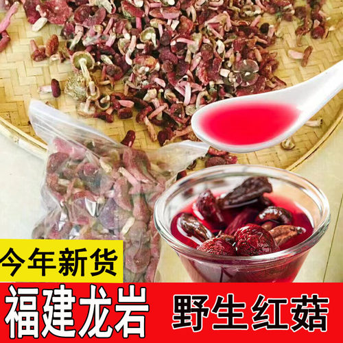 野生红菇龙岩红菇散装野生