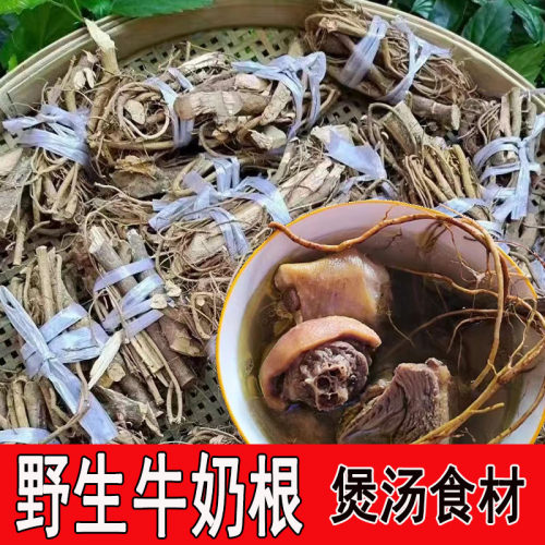 福建土楼野生白花牛奶根客家特产煲汤食材非五指毛桃牛乳树根草药