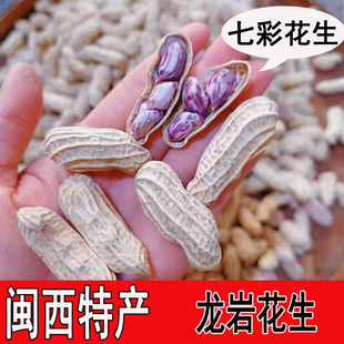 龙岩花生闽西特产七彩花生湿烤水煮蒜香大池白晒烤花生红泥奶香