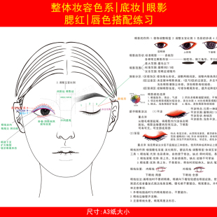 化妆整体妆容眉毛脸型眼影唇色彩搭配设计练习眉形彩妆练习本手稿