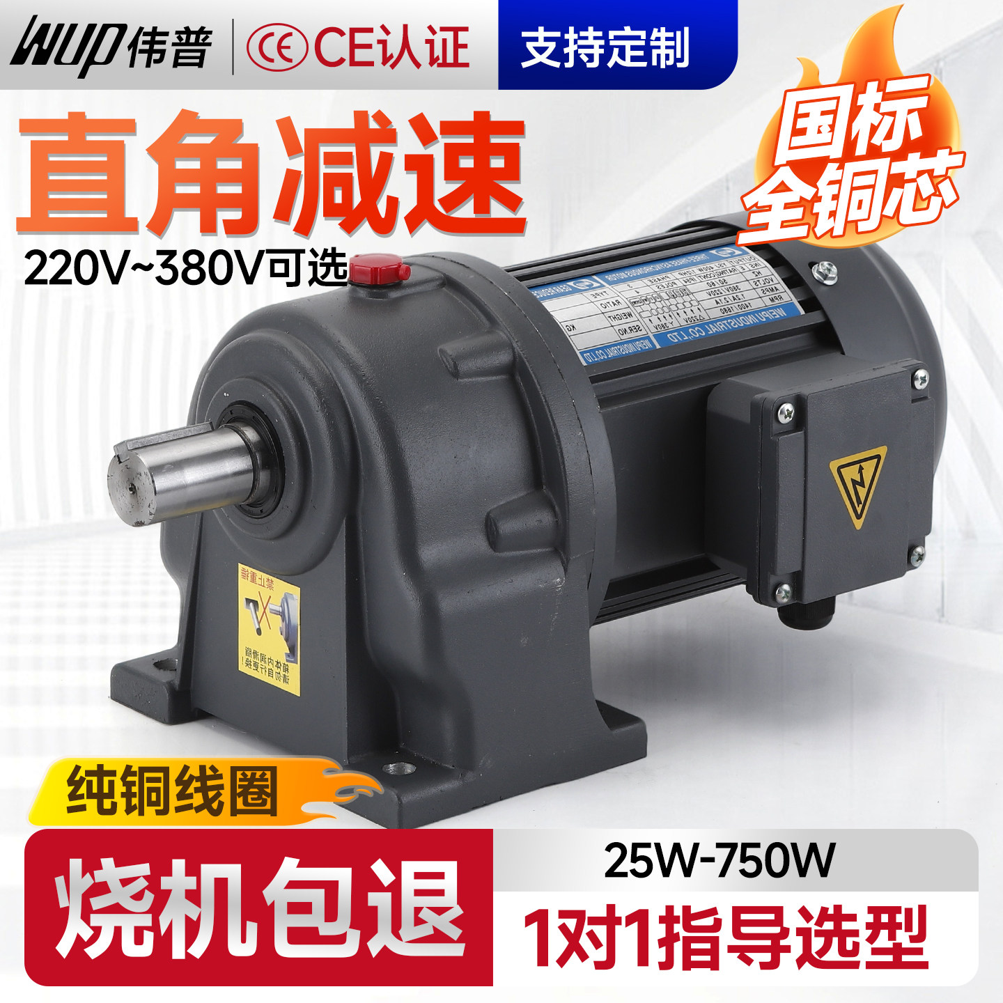 微型齿轮减速电机6-400w伟普