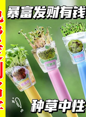 免费刻字长草的笔可以长草的植物种子中性笔迷你盆栽发芽笔学生笔