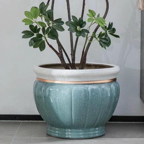 大口径新款陶瓷幸福树花盆