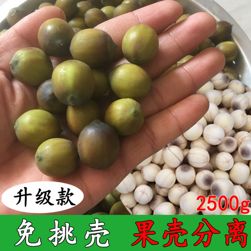 新鲜成熟褐色带芯现摘莲子米