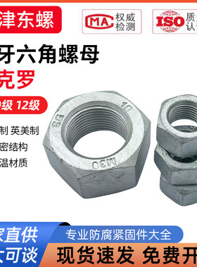 10级12级达克罗细牙六角螺母Q341Q361GB6171螺帽M81012141620-72