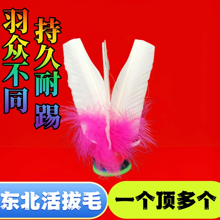 丹东金翎大白毽新款东北活拔毛中速慢速成人健身比赛儿童运动毽子