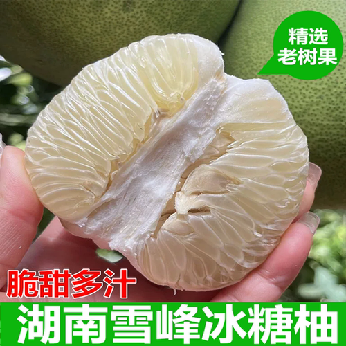 正宗怀化安江柚雪峰柚高山冰糖柚