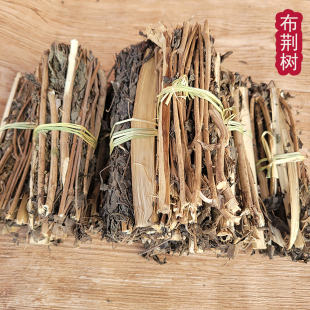 布惊荆树江西客家野外生长黄荆子包粽子泡米做月子煮水澡用一捆