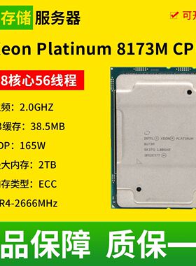 Intel/英特尔 至强铂金 8173M 服务器CPU 28核心56线程 2.0GHZ