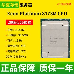 英特尔 28核心56线程 至强铂金 服务器CPU 2.0GHZ 8173M Intel
